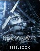 Edward aux mains d'argent - 25th Anniversary Steelbook (FR Import) Blu-ray