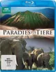 Ein Paradies für Tiere: Afrikas wildes Herz - The Great Rift Blu-ray