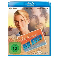 Ein-Sommer-in-New-Jersey.webp
