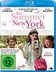 Ein Sommer in New York (2007) Blu-ray