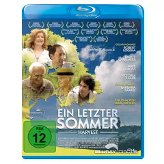 Ein-letzter-Sommer-DE.webp