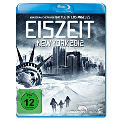 Eiszeit-New-York-2012.webp