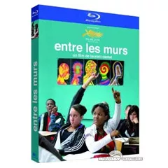 Entre-les-murs-FR.webp