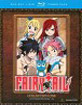 Fairy Tail - Collection 1 (Blu-ray + DVD) (US Import ohne dt. Ton) Blu-ray