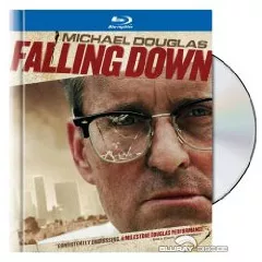 Falling-Down-im-Collectors-Book-RCF.webp