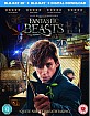 Fantastic Beasts and Where to Find them 3D (Blu-ray 3D + Blu-ray + UV Copy) (UK Import ohne dt. Ton) Blu-ray