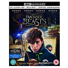 Fantastic-Beasts-and-where-to-find-them-4K-UK.jpg