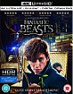 Fantastic Beasts and Where to Find them 4K (4K UHD + Blu-ray + UV Copy) (UK Import ohne dt. Ton) Blu-ray