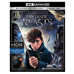 Fantastic-Beasts-and-where-to-find-them-4K-US.jpg