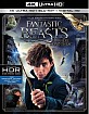 Fantastic-Beasts-and-where-to-find-them-4K-US_klein.jpg