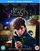 Fantastic Beasts and Where to Find them (Blu-ray + UV Copy) (UK Import ohne dt. Ton) Blu-ray
