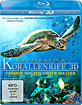 Faszination Korallenriff 3D - Volume 2: Fremde Welten unter Wasser (Blu-ray 3D)