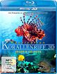 Faszination Korallenriff 3D - Volume 3: Jäger und Gejagte (Blu-ray 3D) - Komplette Sammelauflösung aus meiner Filmliste - Kaufanfrage siehe Beschreibung !!!