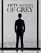 Fifty Shades of Grey (2015) - Best Buy Exclusive Steelbook (Blu-ray + DVD + UV Copy) (US Import ohne dt. Ton) Blu-ray