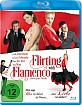 Flirting-with-Flamenco-DE_klein.jpg