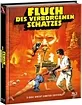Fluch des verborgenen Schatzes (Limited Mediabook Edition) (Cover A) (Blu-ray + DVD) Blu-ray