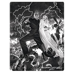Frankenstein-1931-Steelbook-IT-Import.webp