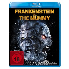 Frankenstein vs. The Mummy.webp