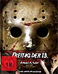Freitag der 13. (2009) (Killer Cut) (Limited Mediabook Edition) (Cover A) (Blu-ray + 2 DVD) Blu-ray