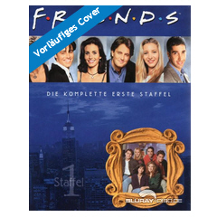Friends-Season-1-US.webp