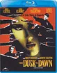From Dusk Till Dawn (Region A - CA Import ohne dt. Ton) Blu-ray