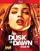 From Dusk Till Dawn: The Series - The Complete First Season (US Import ohne dt. Ton) Blu-ray