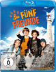 Fuenf-Freunde-2012_klein.jpg