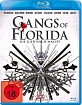 Gangs of Florida Blu-ray