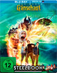 Gänsehaut (2015) (Limited Steelbook Edition) (Blu-ray + UV Copy)