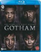 Gotham: The Complete First Season (DK Import ohne dt. Ton) Blu-ray