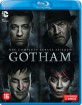Gotham: The Complete First Season (NL Import ohne dt. Ton) Blu-ray