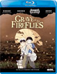 Grave of the Fireflies (Region A - US Import ohne dt. Ton) Blu-ray