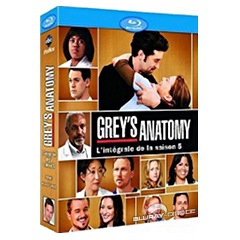 Greys-Anatomy-Season-5-FR.jpg