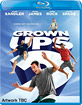 Grown Ups 2 (UK Import ohne dt. Ton) Blu-ray