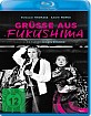 Grüsse aus Fukushima (Majestic Collection) Blu-ray
