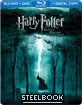 Harry Potter and the Deathly Hallows: Part 1 (Steelbook) (US Import ohne dt. Ton) Blu-ray