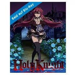 Holy-Knight-Teil-1.webp