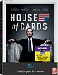 House of Cards: The Complete First Season (Blu-ray + Digital Copy + UV Copy) (UK Import)