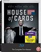 House of Cards: The Complete First Season (Blu-ray + Digital Copy + UV Copy) (UK Import) Blu-ray
