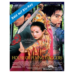 House-of-Flying-Daggers-DE.jpg