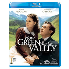 How-Green-Was-My-Valley-1941-US.webp