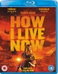 How I Live Now (UK Import ohne dt. Ton) Blu-ray