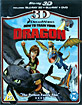 How to Train Your Dragon 3D (Blu-ray 3D + Blu-ray + DVD) (UK Import) Blu-ray