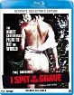 I Spit On Your Grave (1978) (NL Import ohne dt. Ton) Blu-ray