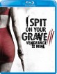 I Spit on Your Grave 3: Vengeance is Mine (Region A - US Import ohne dt. Ton) Blu-ray
