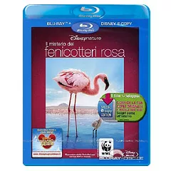 Il-Mistero-dei-Fenicotteri-Rosa-BD-DCopy-IT.webp