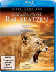 Im Königreich der Raubkatzen - Cats of Prey Blu-ray