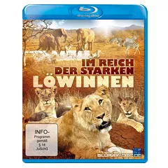 Im-Reich-der-starken-Loewinnen.webp