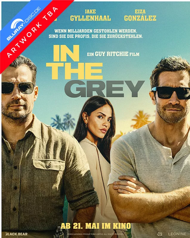 In-the-Grey-2026-draft-DE.webp