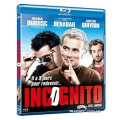 Incognito-2009-FR.webp